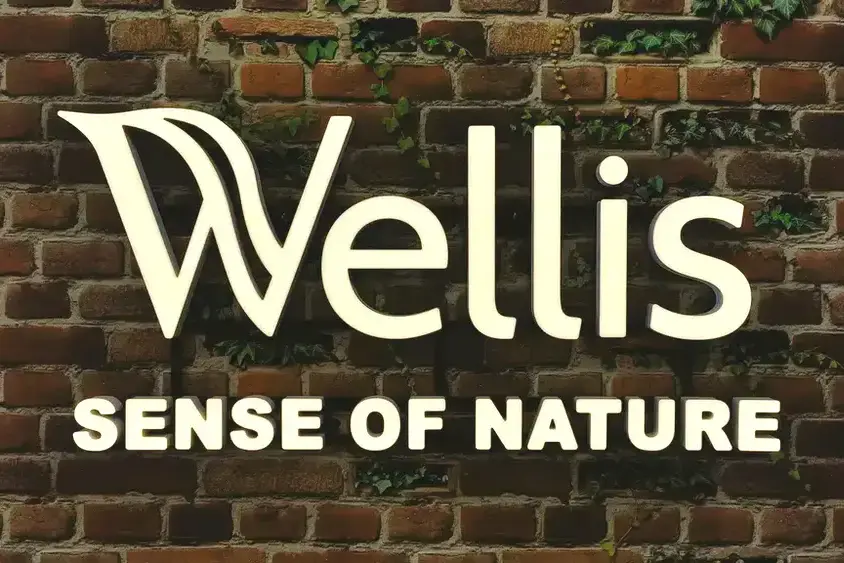 Wellis Logo