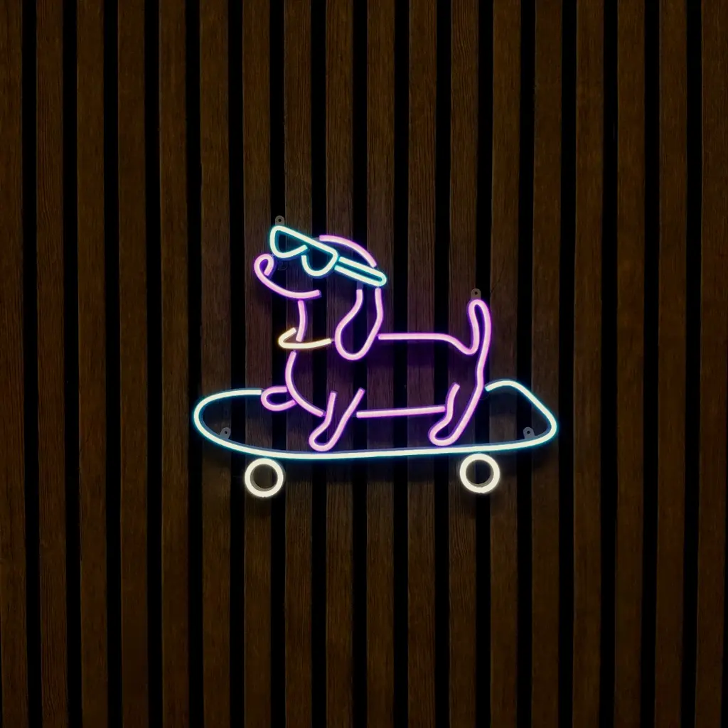 Dackel auf dem Skateboard