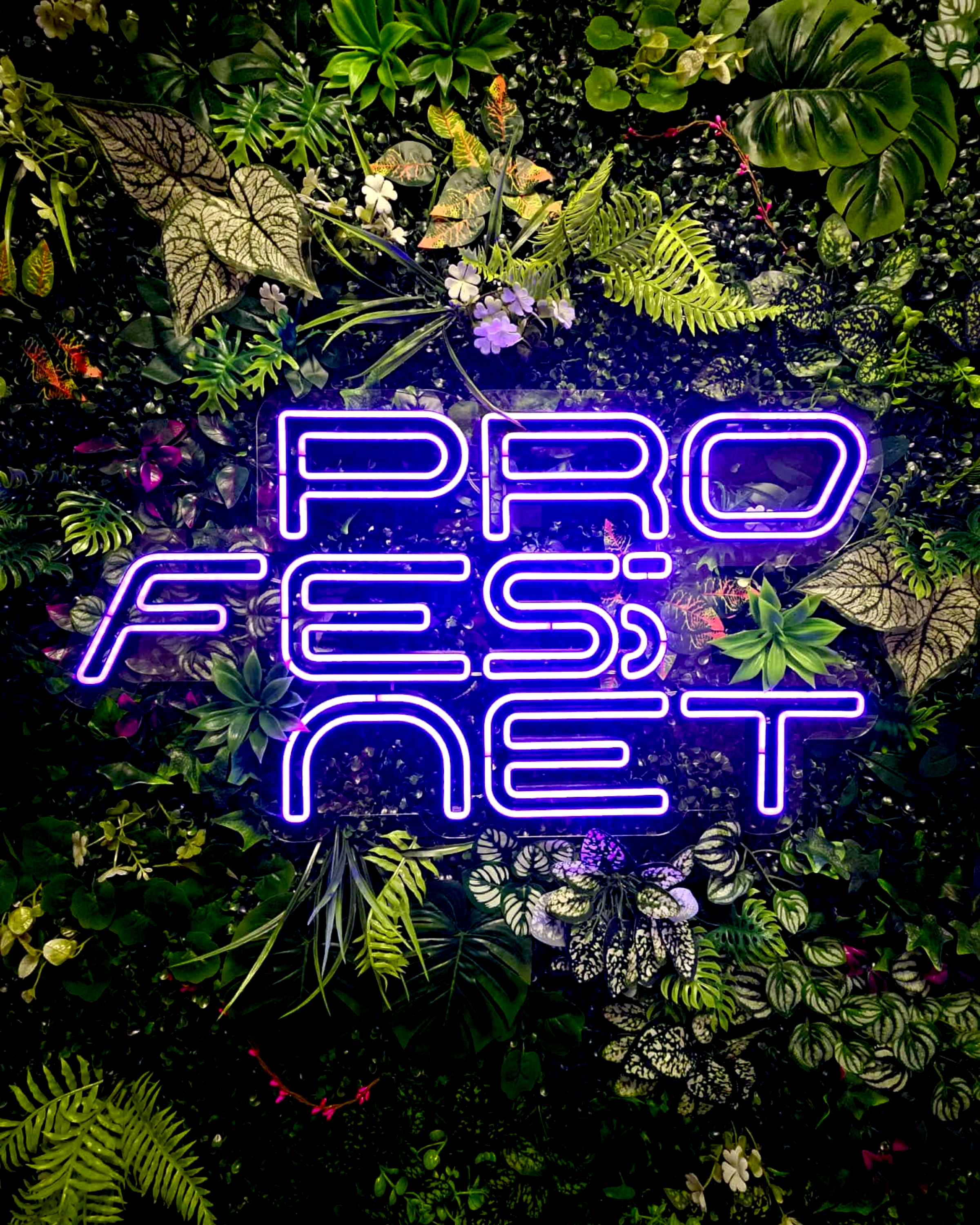 PRO FES NET