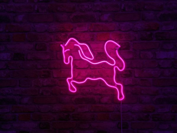 Konik- Neon LED Classic - obrazek 2