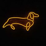 Jamniczek - Neon LED Classic