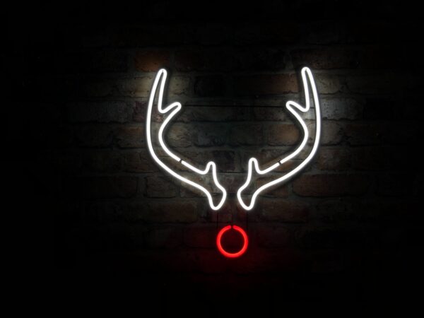 rudolf  - Neon LED Classic - Image 3