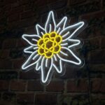 Edelweiß - Neon LED Classic